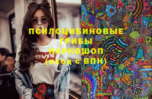 МДПВ Алзамай