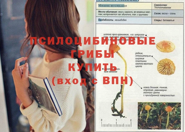 наркотики Алексин