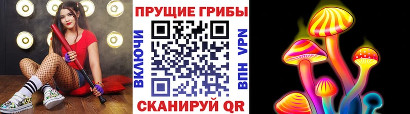 Галлюциногенные грибы мухоморы  где можно купить наркотик  Жигулёвск 